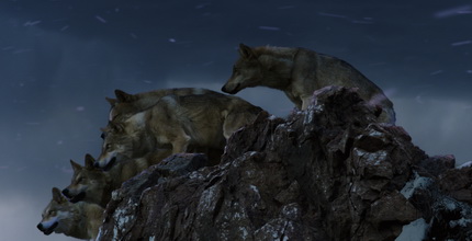 Jean-Jacques Annaud: Le dernier loup / Farkastotem / Wolf Totem